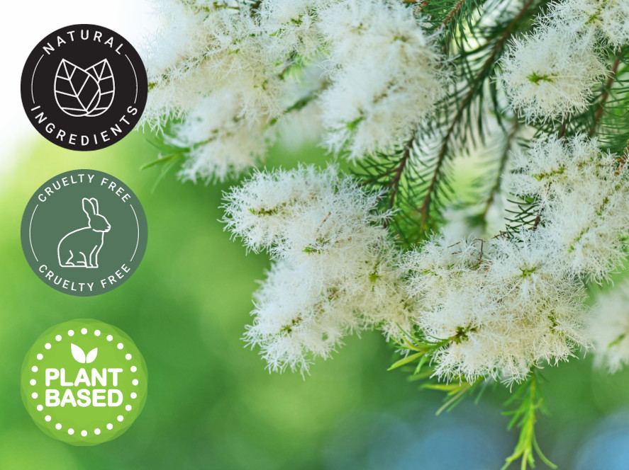 4 fl oz Tea Tree (Australia) Essential Oil (100% Pure & Natural) – GreenHealth
