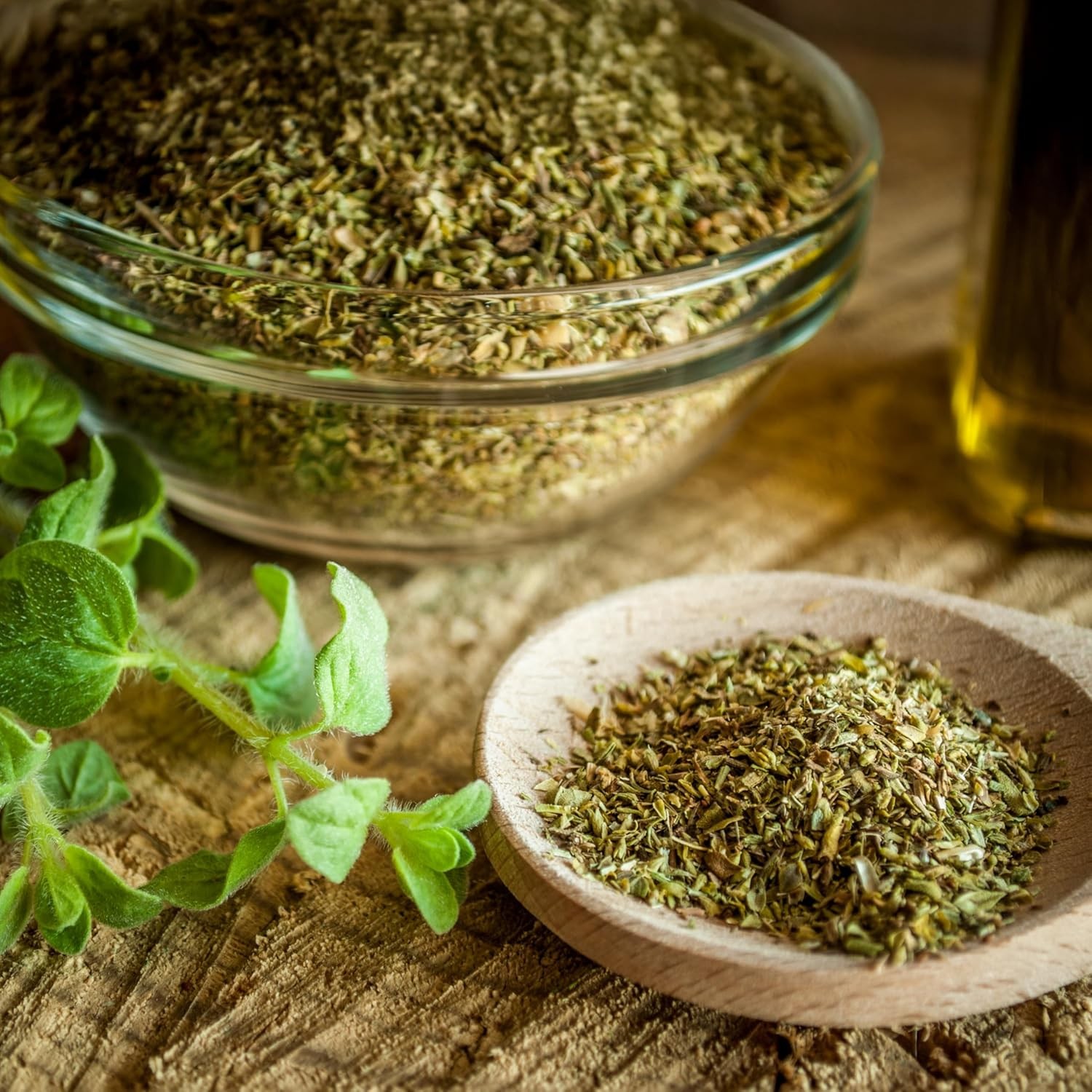 Organic Common Italian Oregano Seeds – USDA Organic, Non-GMO, Open Pollinated, H