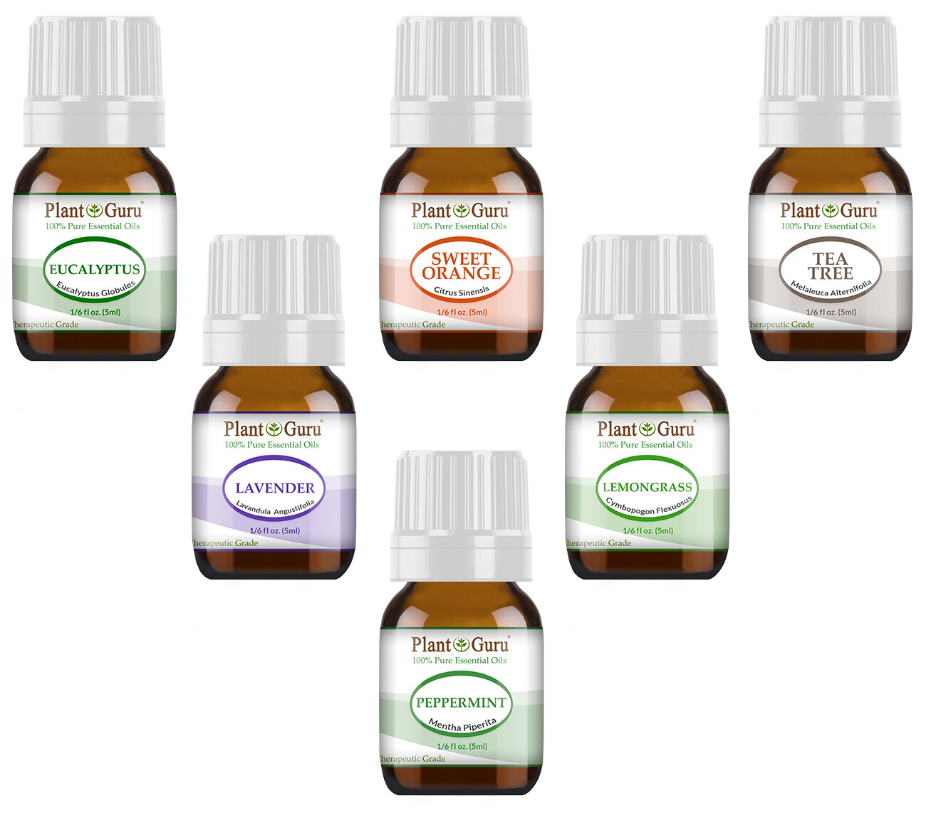 Essential Oil Set 6 – 5 ml. 100% Pure Natural Therapeutic Grade Oils Lot