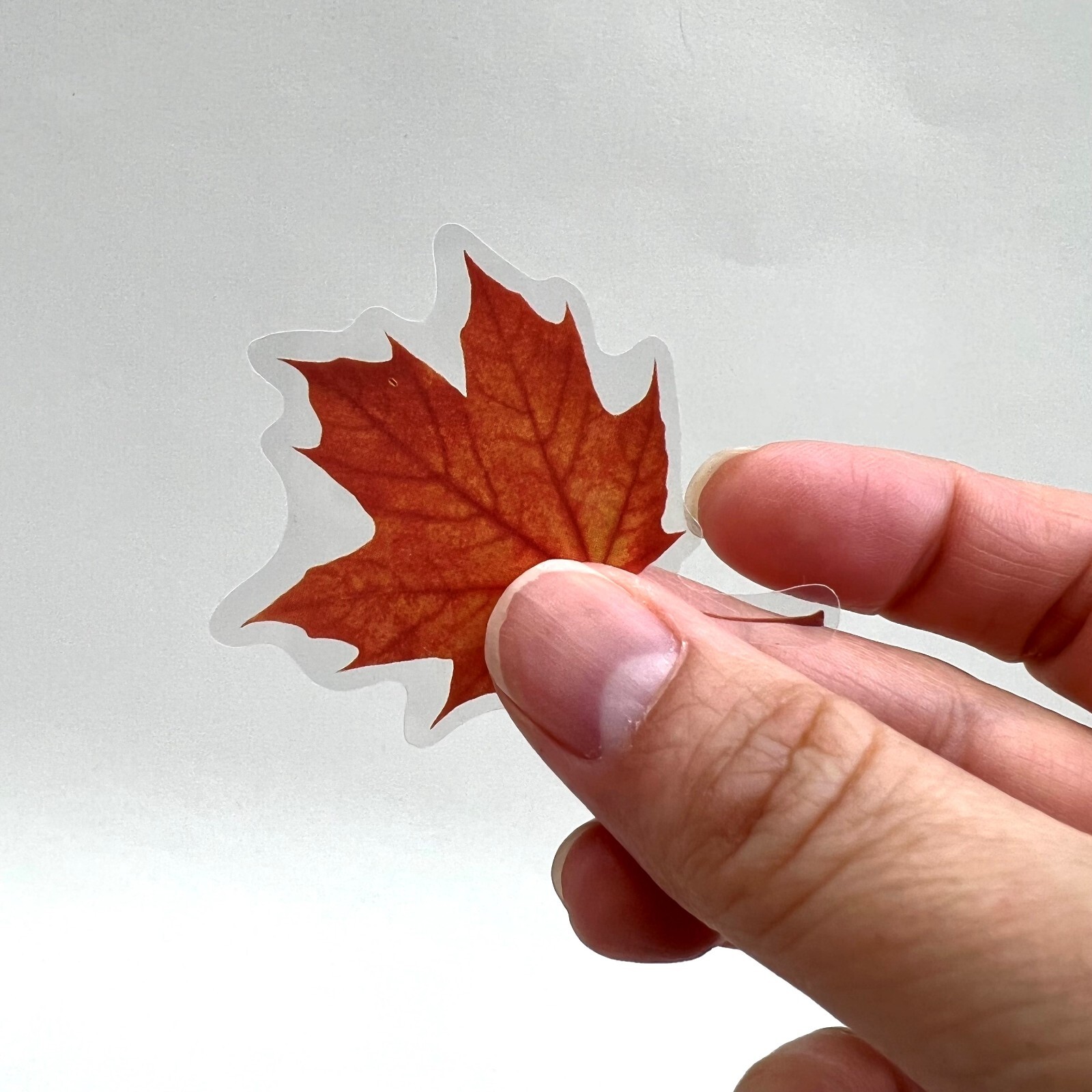 Autumn Fall Leaf Stickers Oak Maple Leaves Journaling Scrapbooking Planner