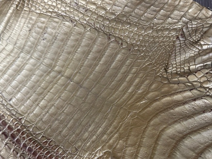 Low Grade Gold Caiman Crocodile belly Hide Leather Skin real alligator Croc 495