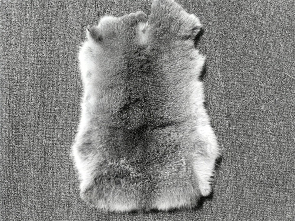 High Quality Soft Natural Gray Rabbit Skin Pelt Real Fur Craft Decro 8-14” US