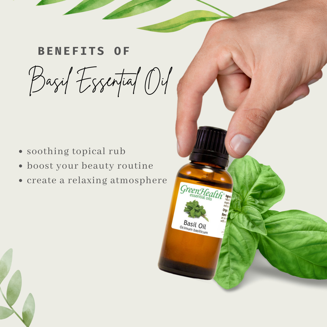 Bulk 8 fl oz Basil Essential Oil Pure Natural in Aluminum Bottle