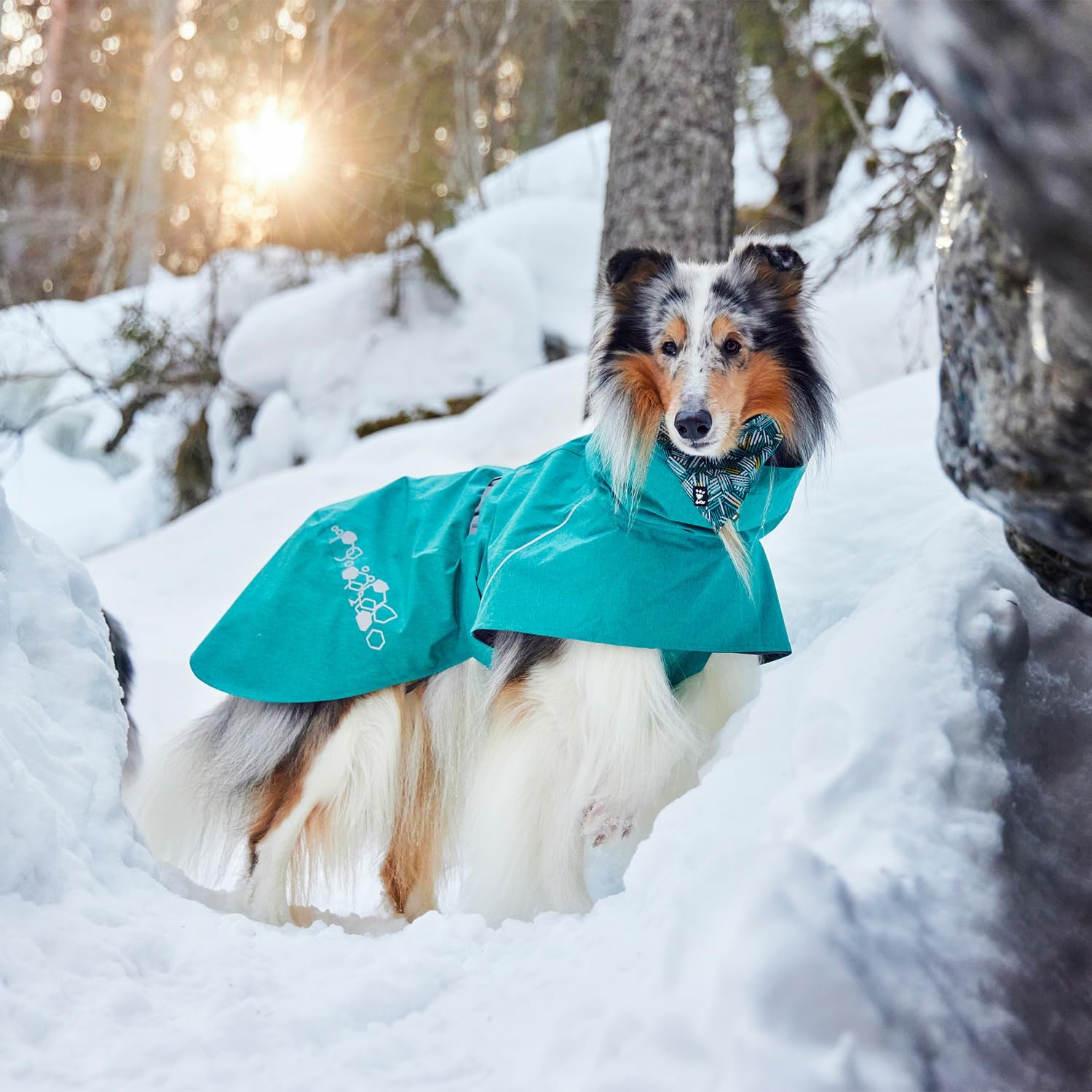 Hurtta Monsoon Coat Ii Eco Wet Weather Dog Raincoat Coat Peacock 24 In