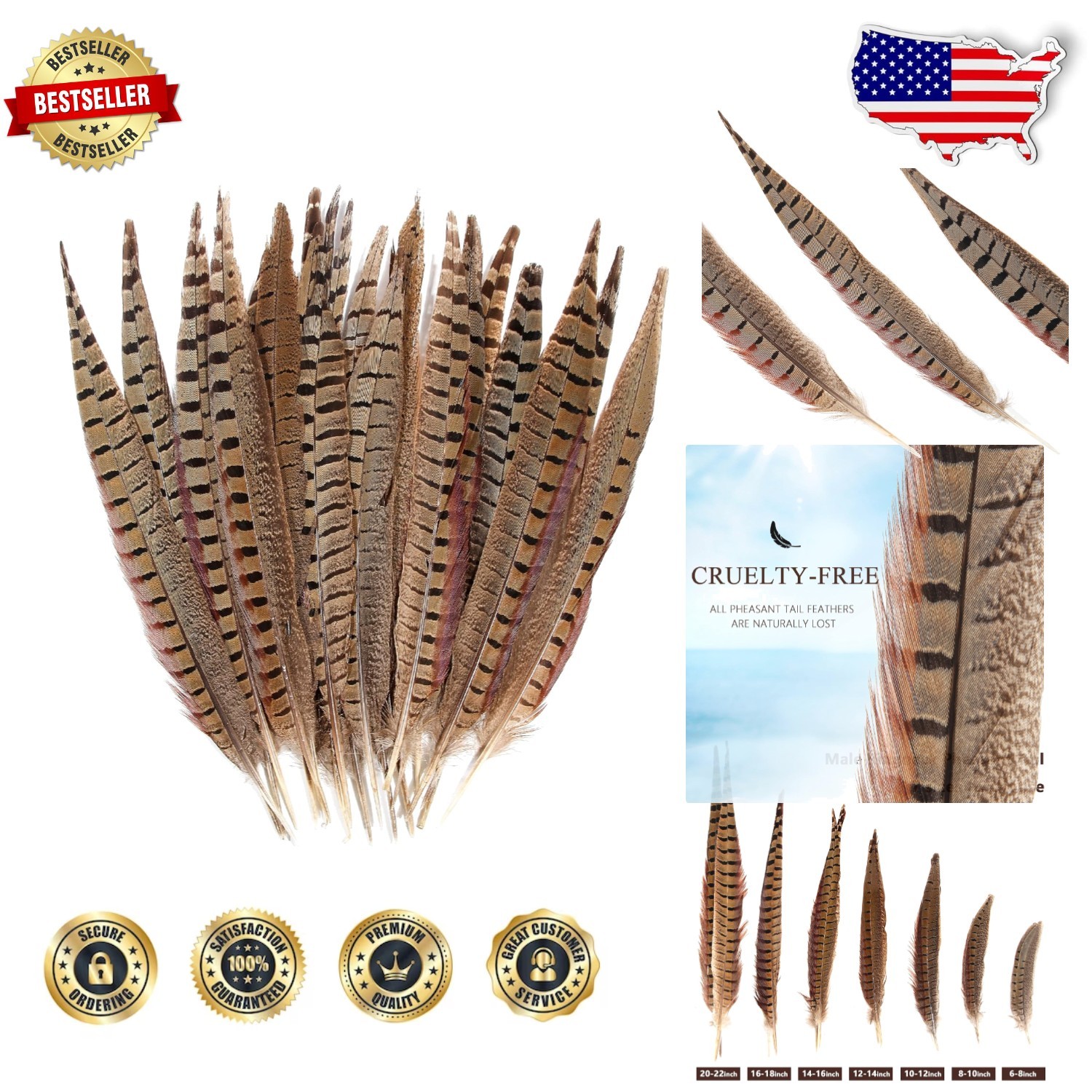 Genuine 14-16″ Male Pheasant Feathers (20pcs) – Cruelty-Free, Sanitize DIY Decor