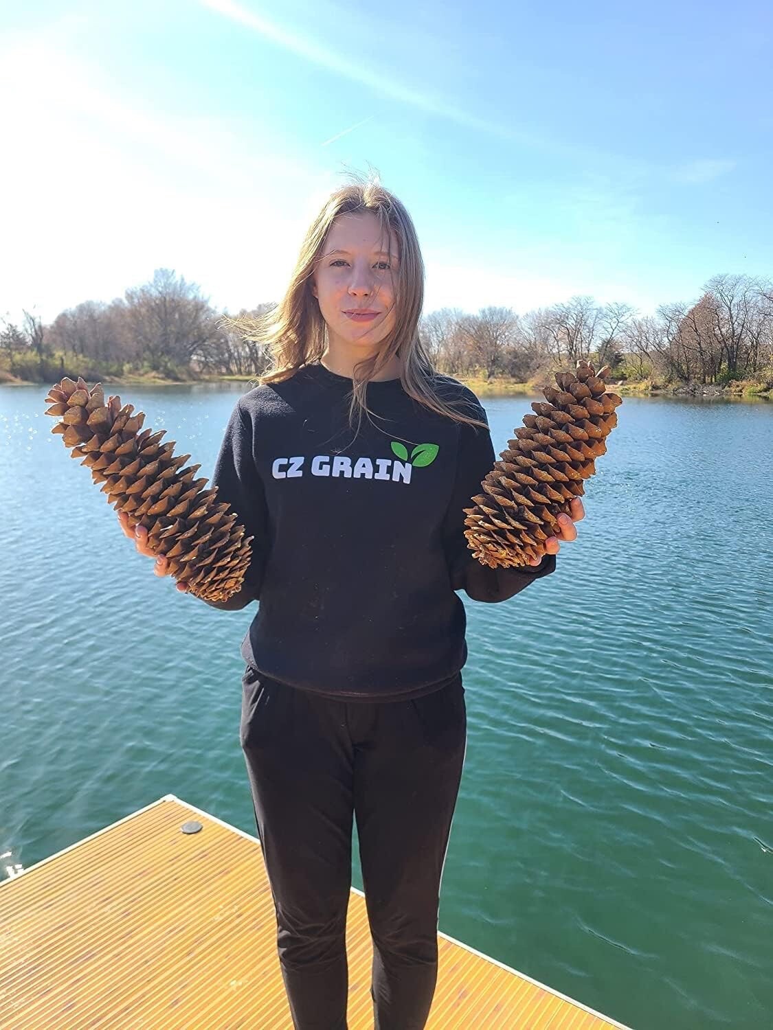 Sugar Pine Cones – Biggest Pine Cones, Great for Seasonal Decoration, 10-14 inch