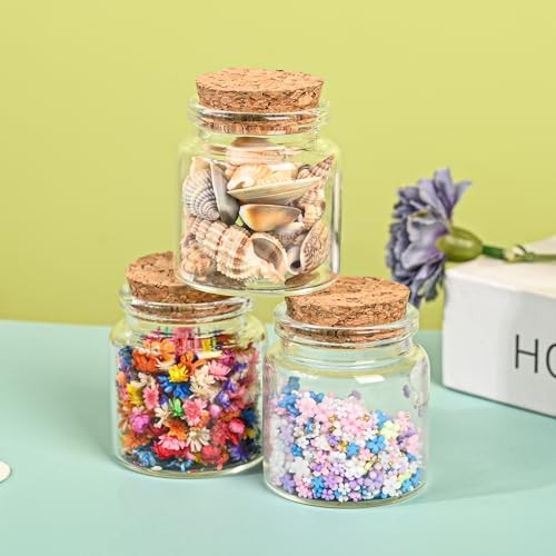 4PCS 50ml Small Empty Glass Bottle with Cork Stopper Storage,Small Glass