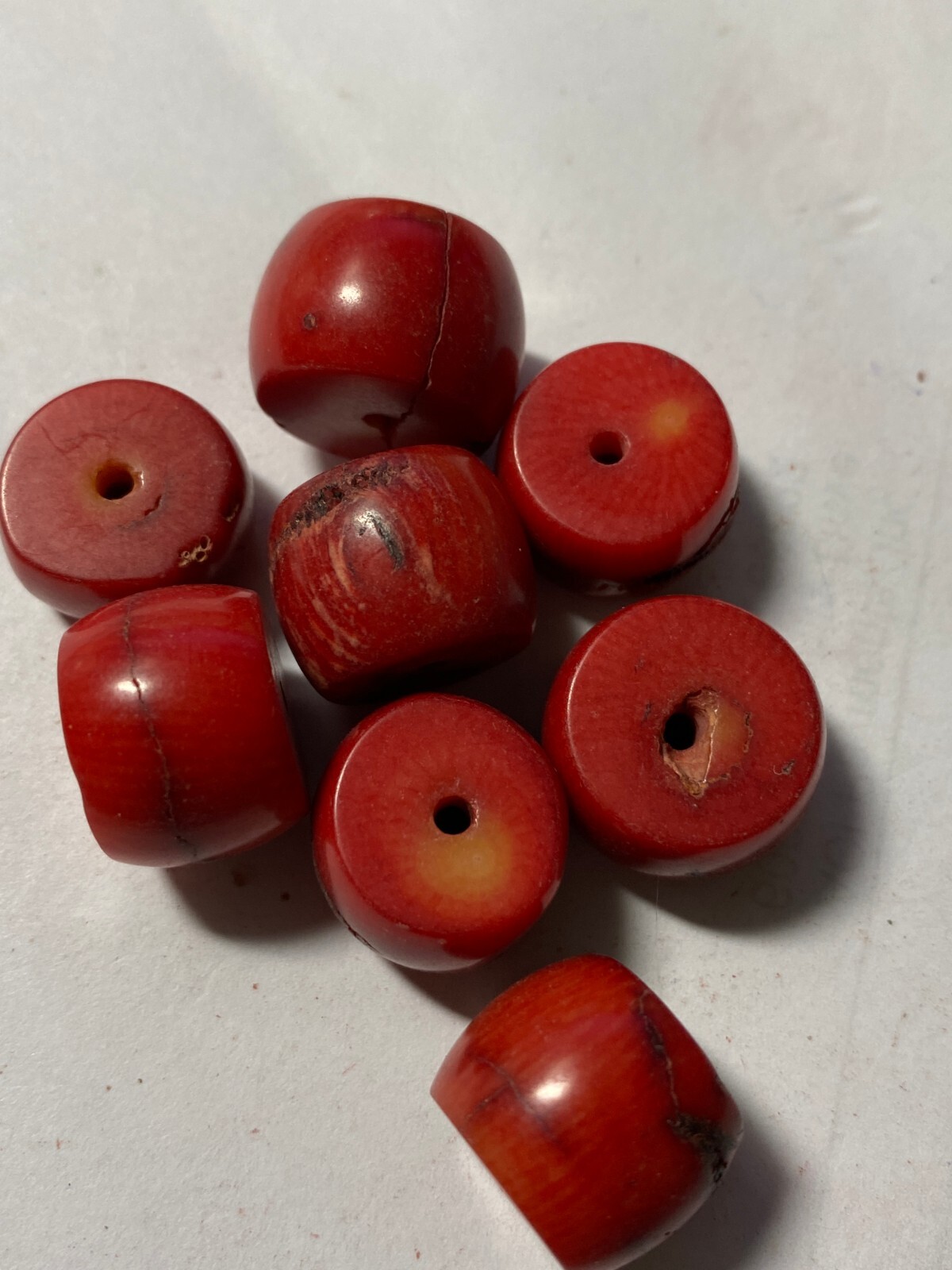 Bamboo Coral Beads 4mm to 28mm