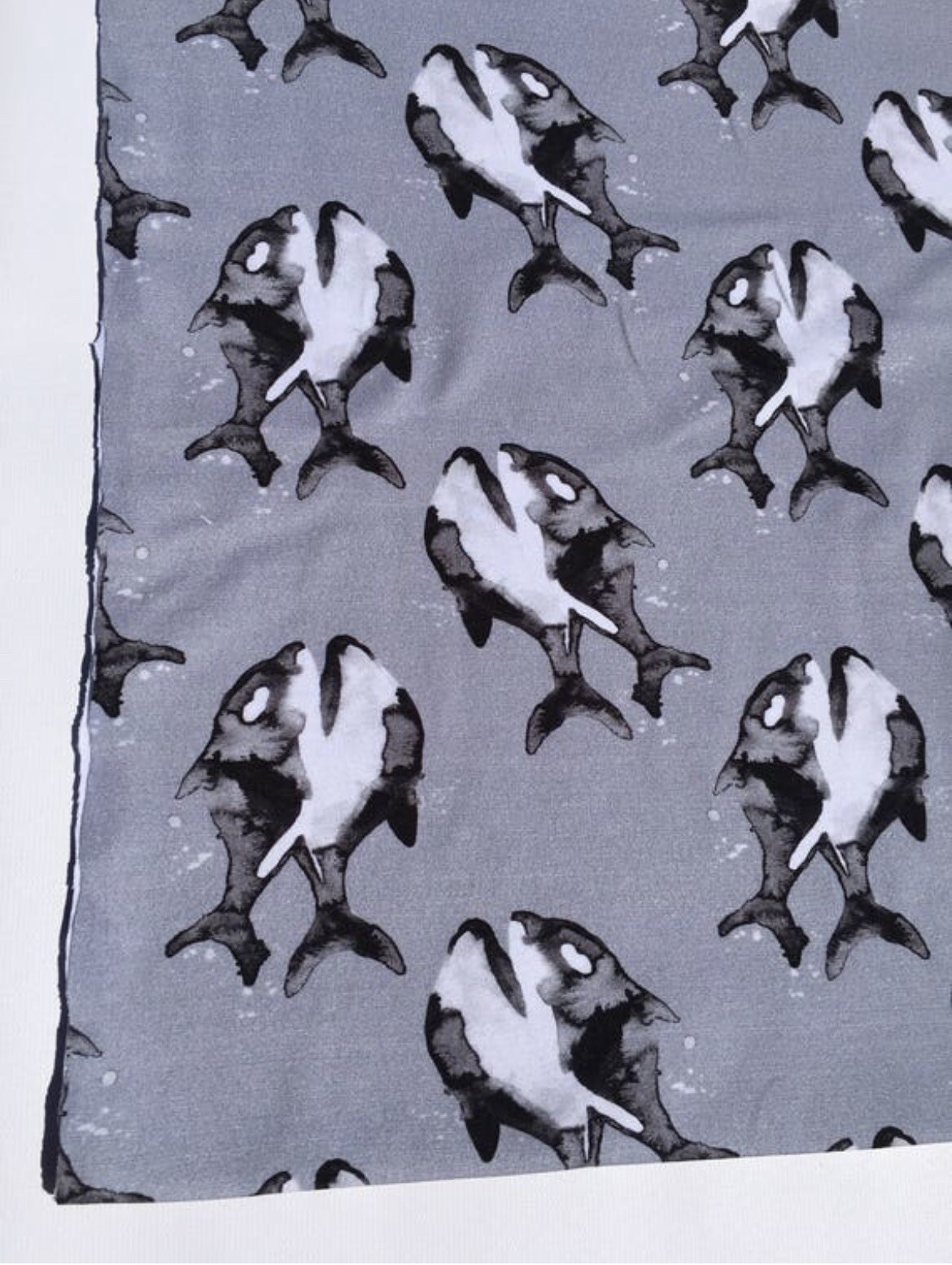 European organic cotton jersey fabric-whales-By The Yard