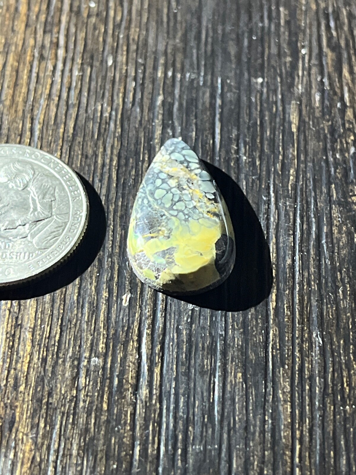 Tree Frog Variscite mine 10.3 ctw pear tear drop Cabochon NV, USA