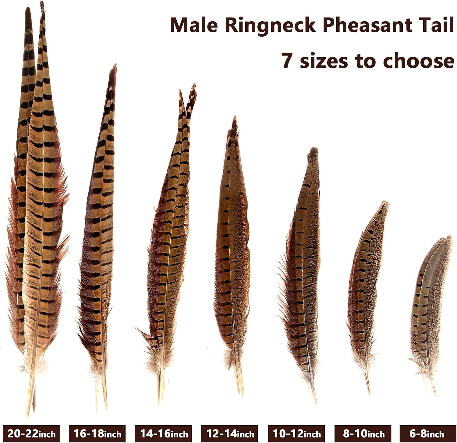 Genuine 14-16″ Male Pheasant Feathers (20pcs) – Cruelty-Free, Sanitize DIY Decor