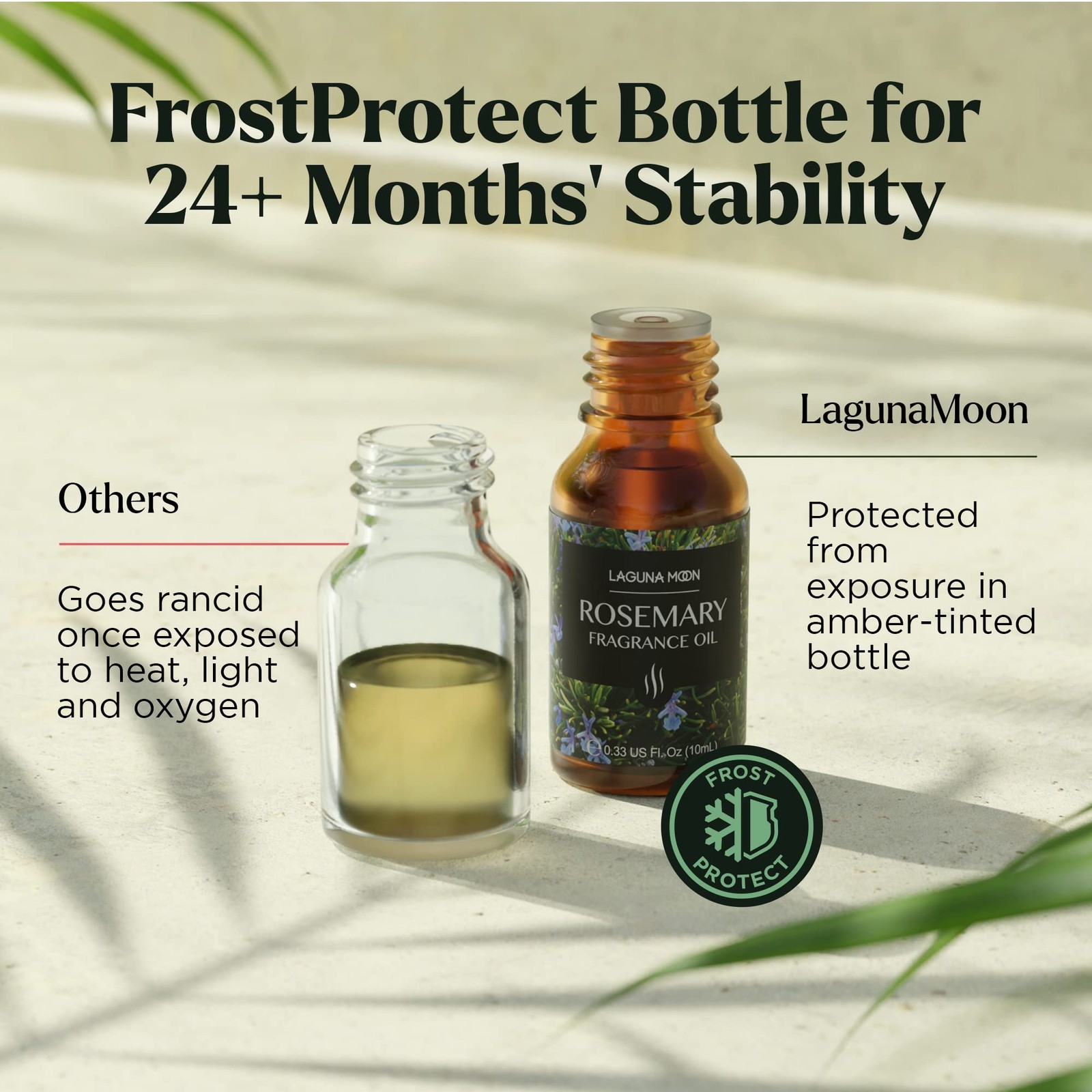 Lagunamoon Fragrance Oil Collection – Premium 16 Piece 5.44 Fl Oz (Pack of 1)