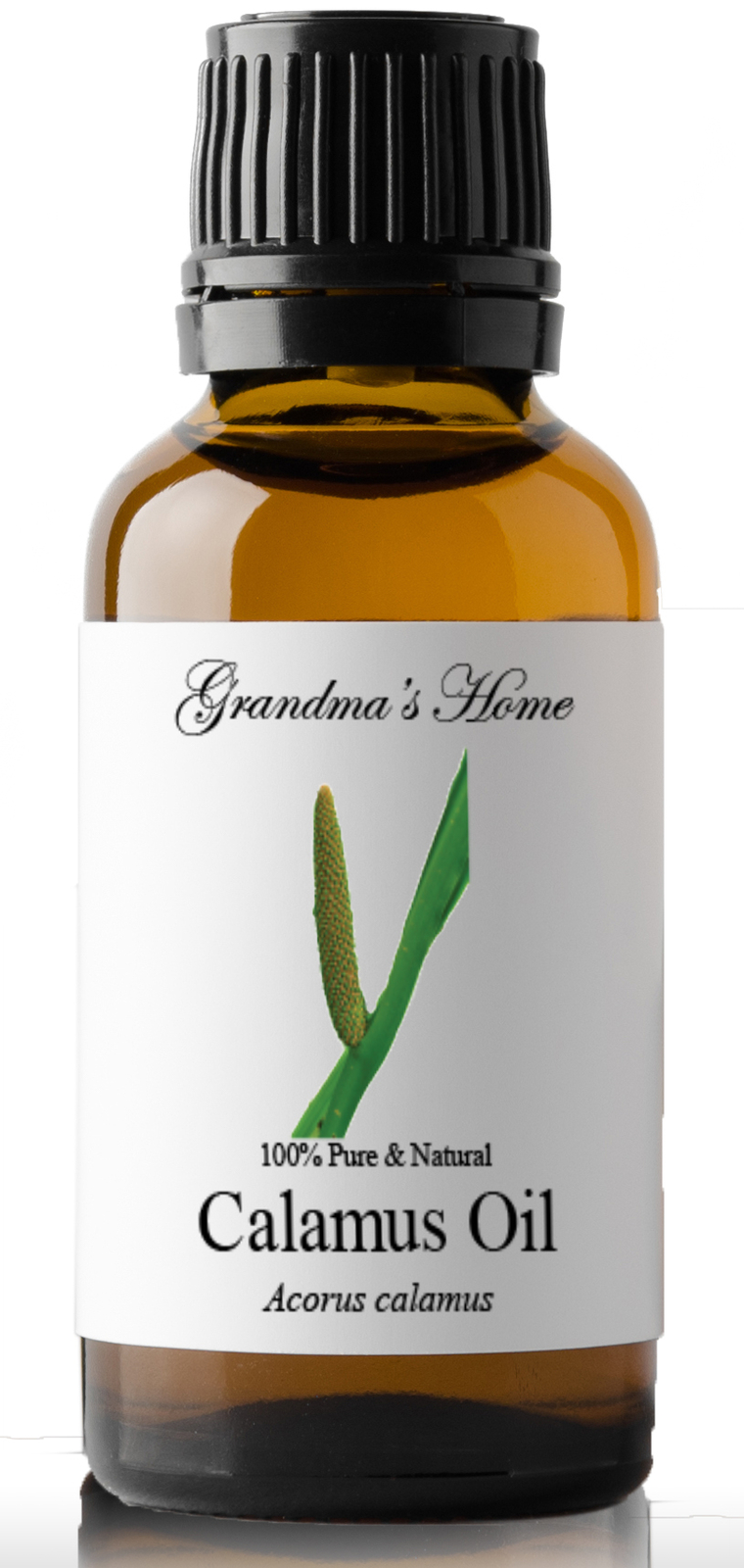 Calamus Essential Oil 30 mL – 100% Pure – Therapeutic Grade – Grandma’s Home