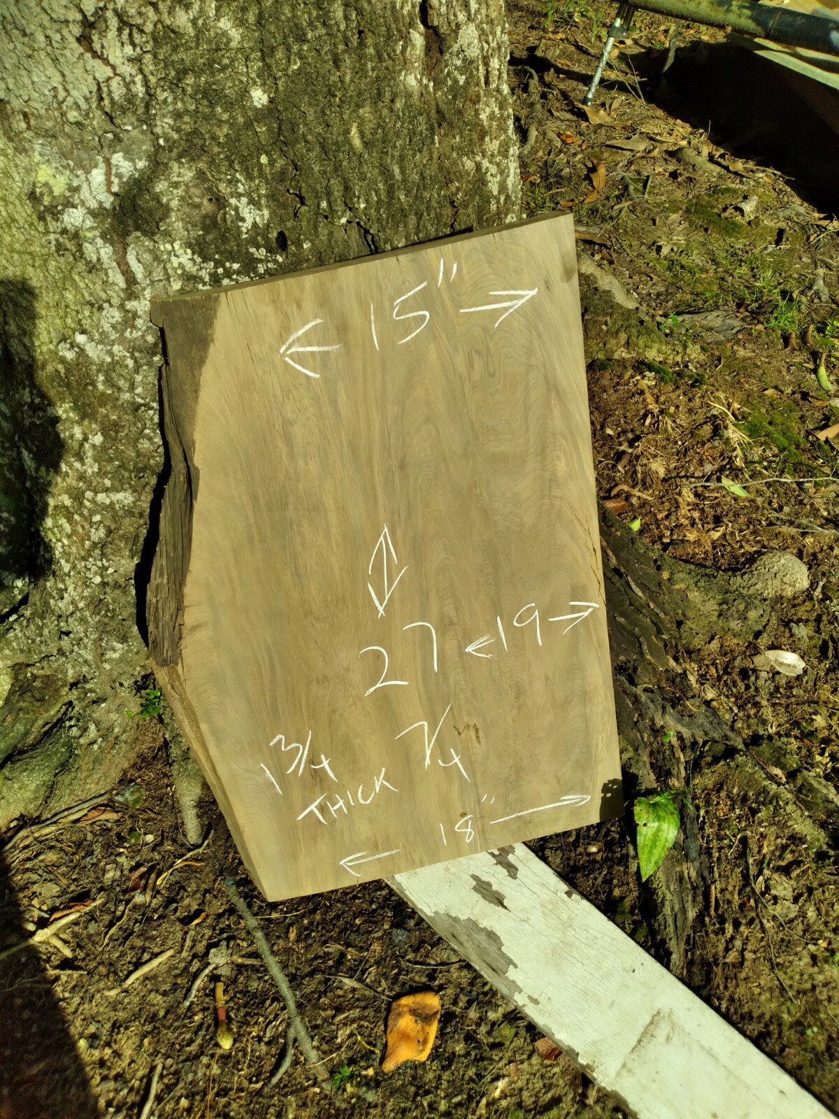 RETURNS ACCEPTED Old Growth Sinker Cypress Slab Craft Wood Kiln Dried FREE SHIPN
