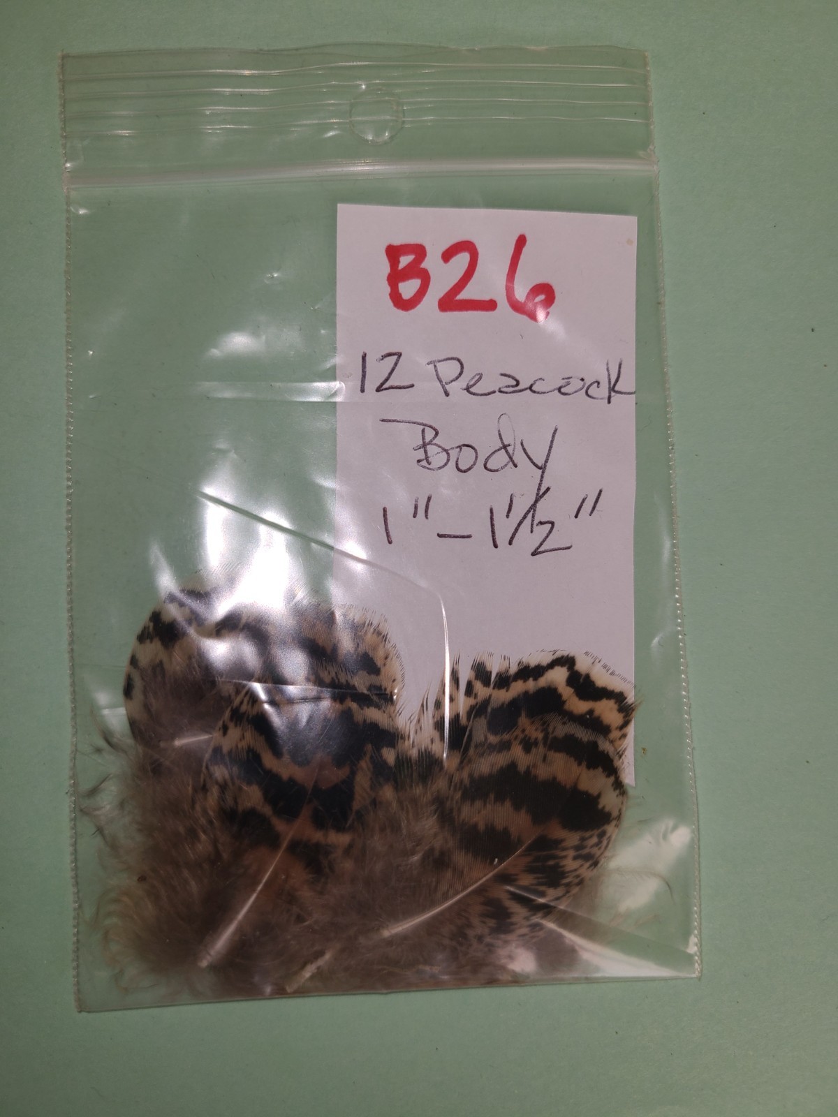 12 Peacock Body Plumage Chinchilla Feather 1″-1 1/2″ Fly Tying cruelty-free B26