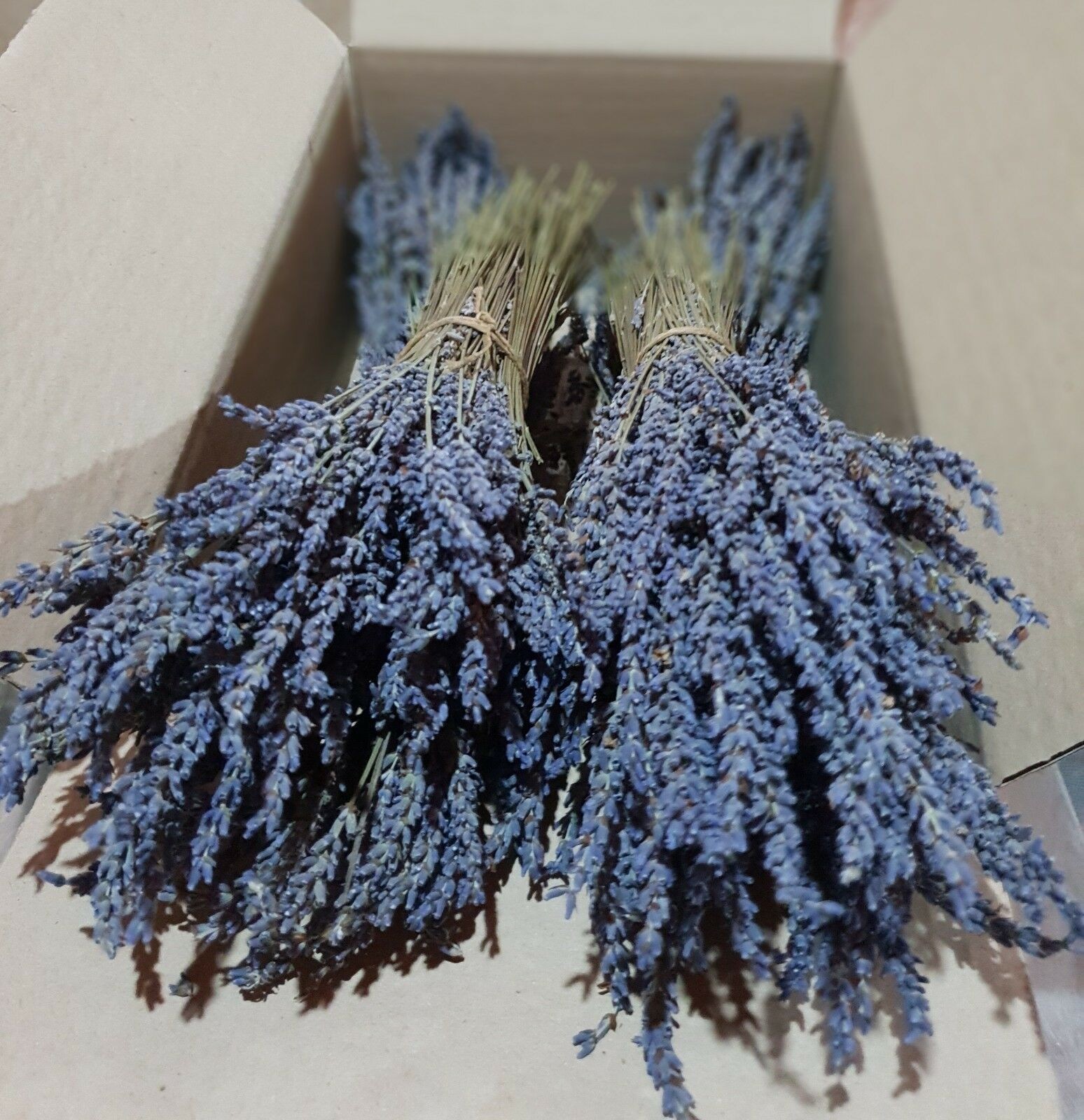 Certified Organic Greek Dried Lavender 22 Bunches 32cm | Harvest July 2024