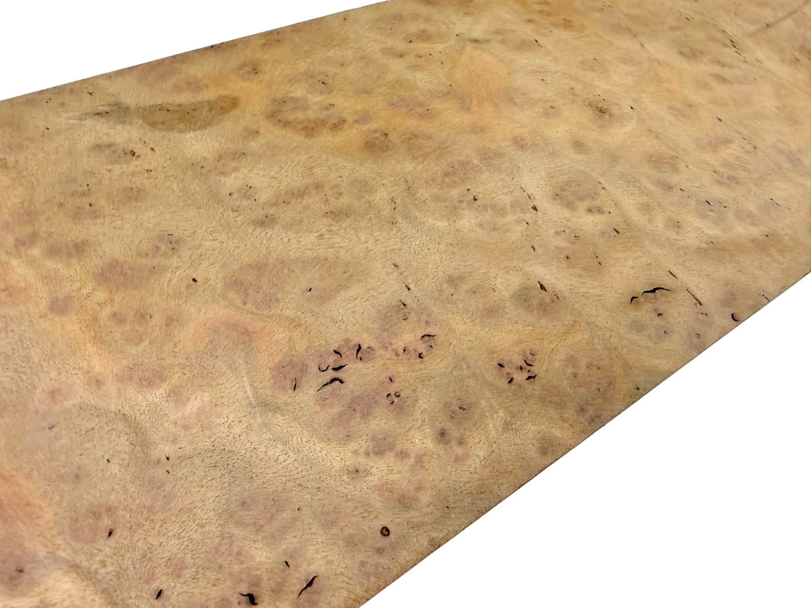 Camphor Burl wood insrument blank 20″ x 7-3/8” x 2″ (v20) dried billet