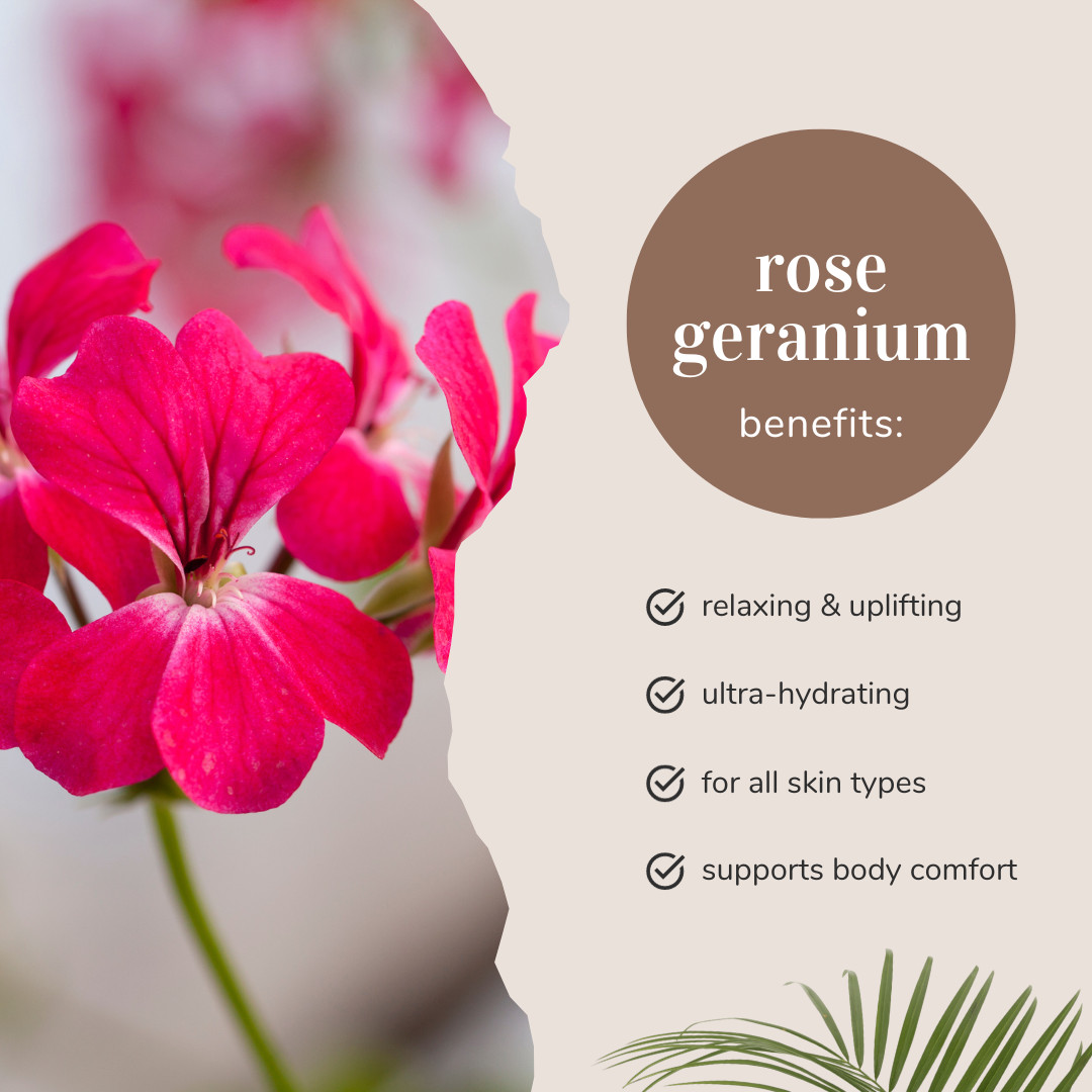 10 ml Rose Geranium Essential Oil (100% Pure & Natural) – GreenHealth