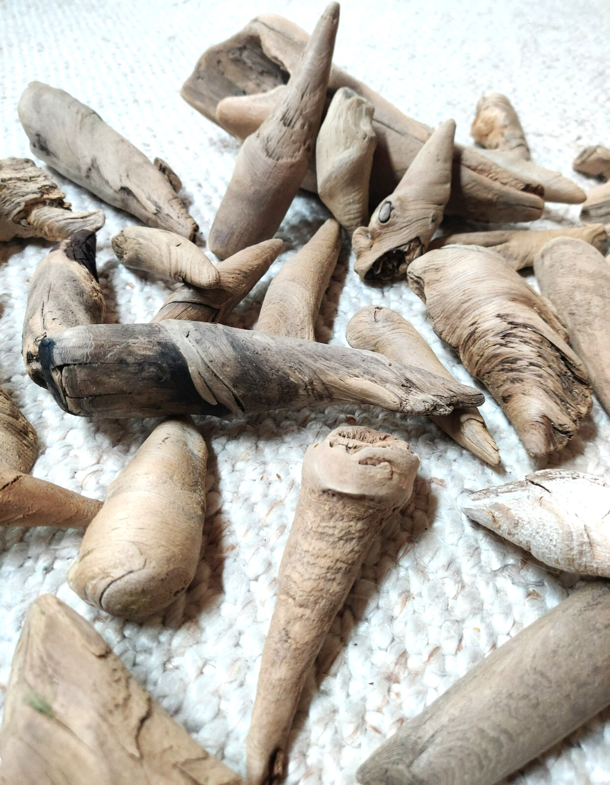 2 lbs. (14+ pcs.) of Beautiful, Unique, Natural Driftwood Gleaned from Lake MI