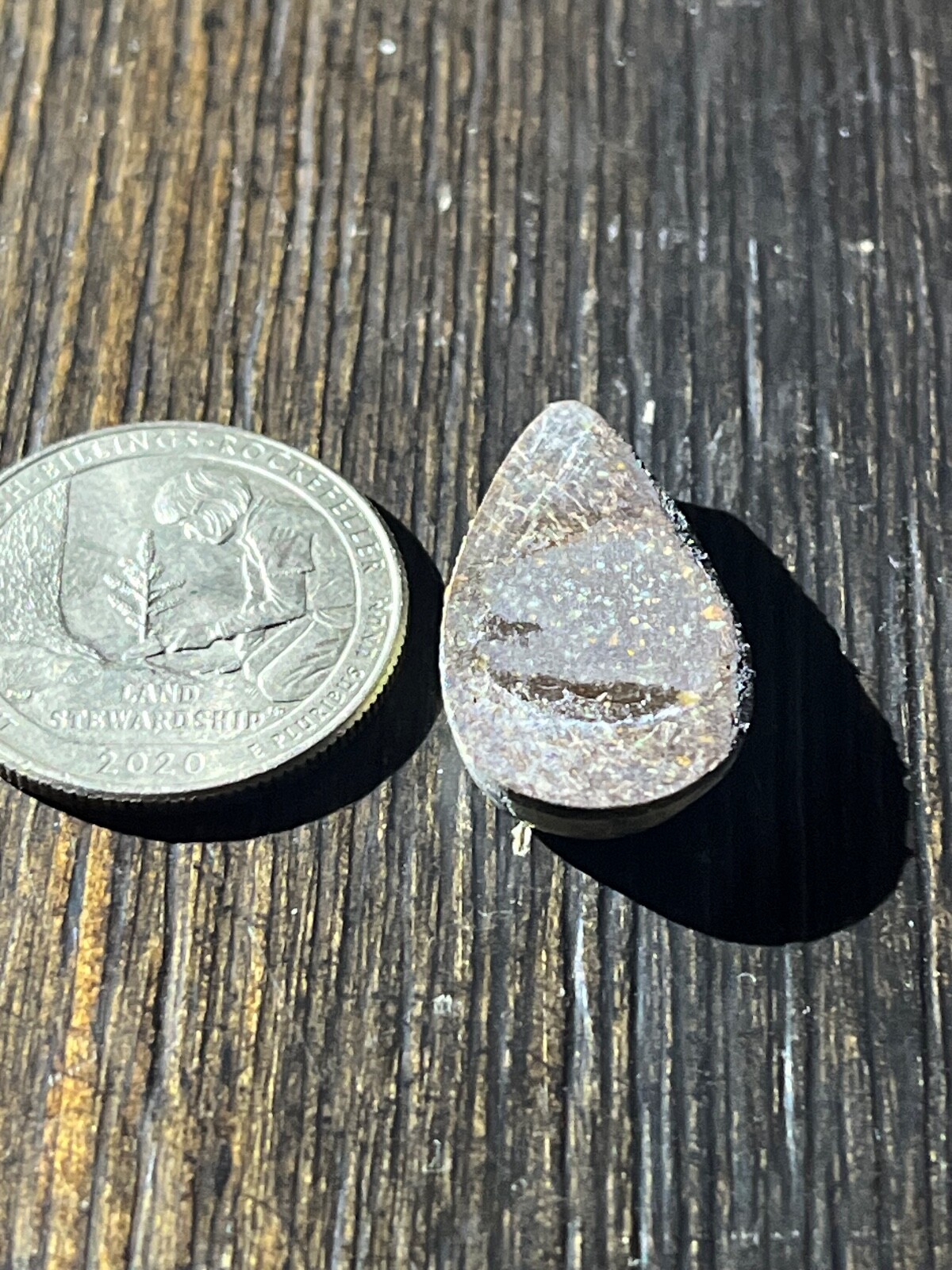 Tree Frog Variscite mine 10.3 ctw pear tear drop Cabochon NV, USA