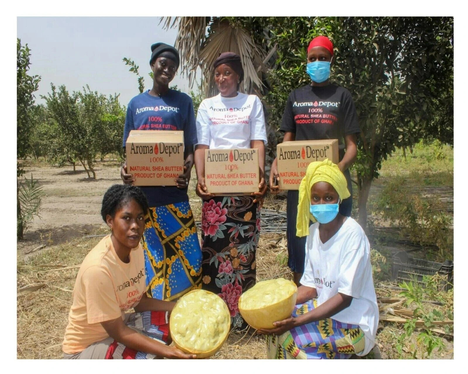 Raw African Shea Butter 12 oz. IVORY Pure Unrefined Raw Organic from Ghana
