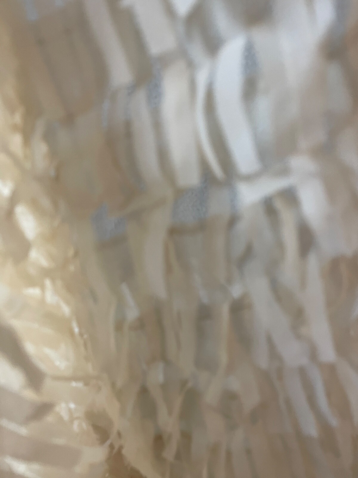 Fabric Lot 2 Yds 56 W Apparel Laser Cut Beige Vanilla Fringe Sheer Organza