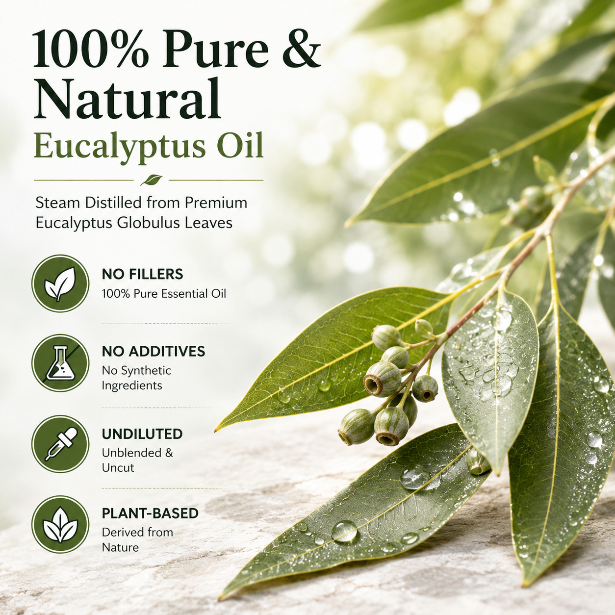 1 Gallon Eucalyptus Globulus Essential Oil (100% Pure & Natural) – GreenHealth