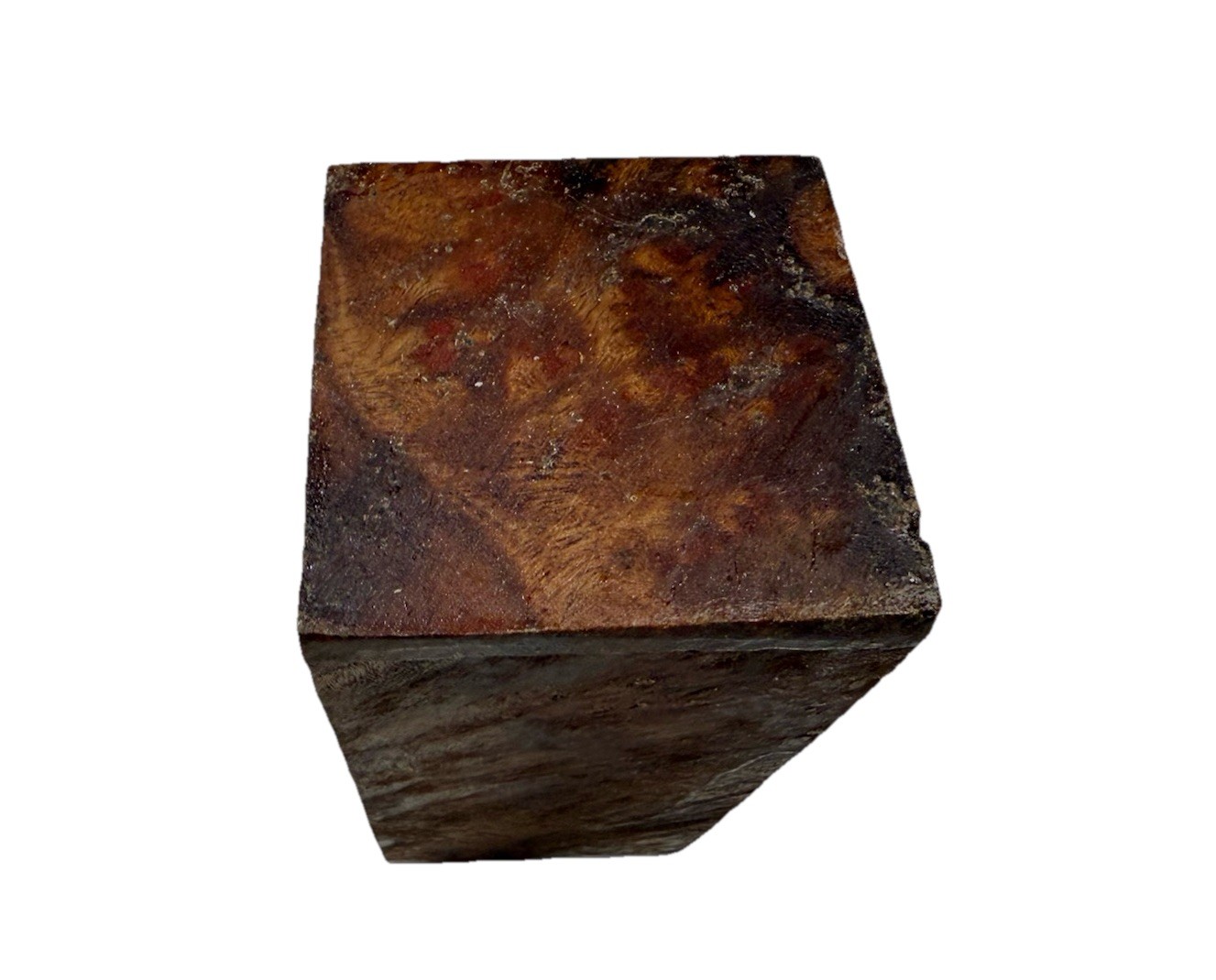 Camphor Burl wood turning blank 2-1/2″ x 2-1/2″ x 5-5/8″ (m27) Dried