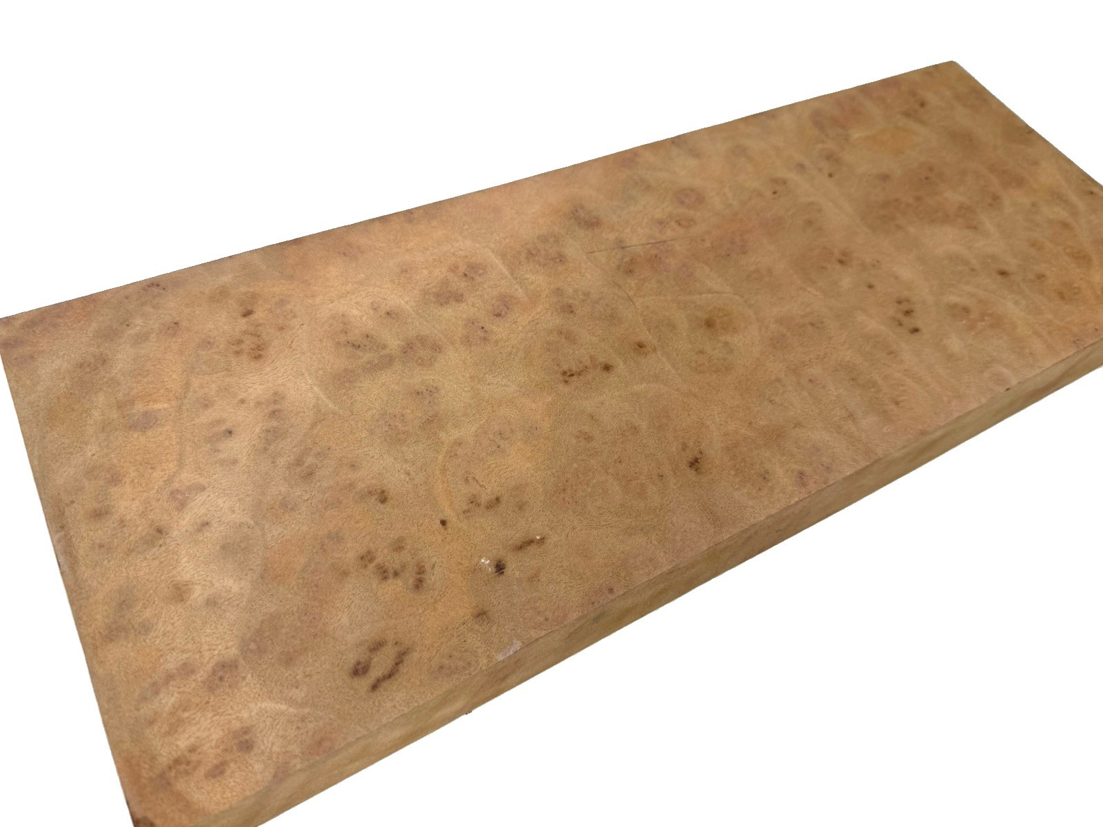 Camphor Burl wood insrument blank 20″ x 7-3/8” x 2″ (v20) dried billet