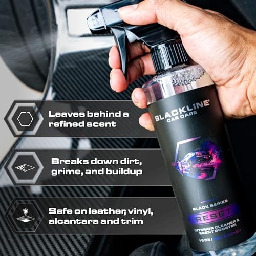 Luxury Scented Leather Interior Car Cleaner 16 Fl Oz (Pack of 1) Dark Ice