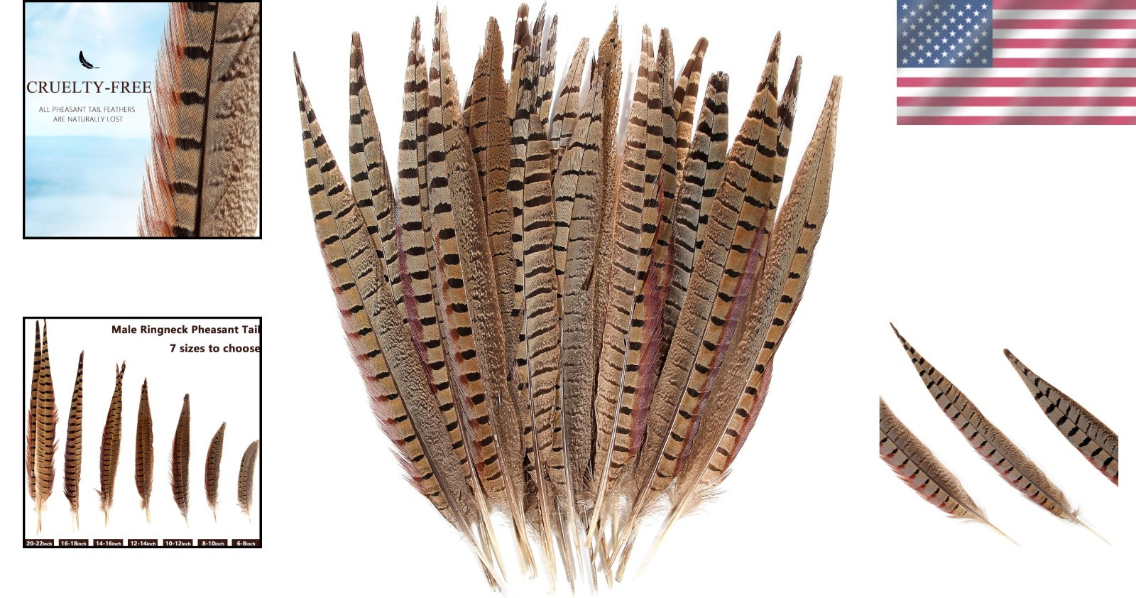 Genuine 14-16″ Male Pheasant Feathers (20pcs) – Cruelty-Free, Sanitize DIY Decor