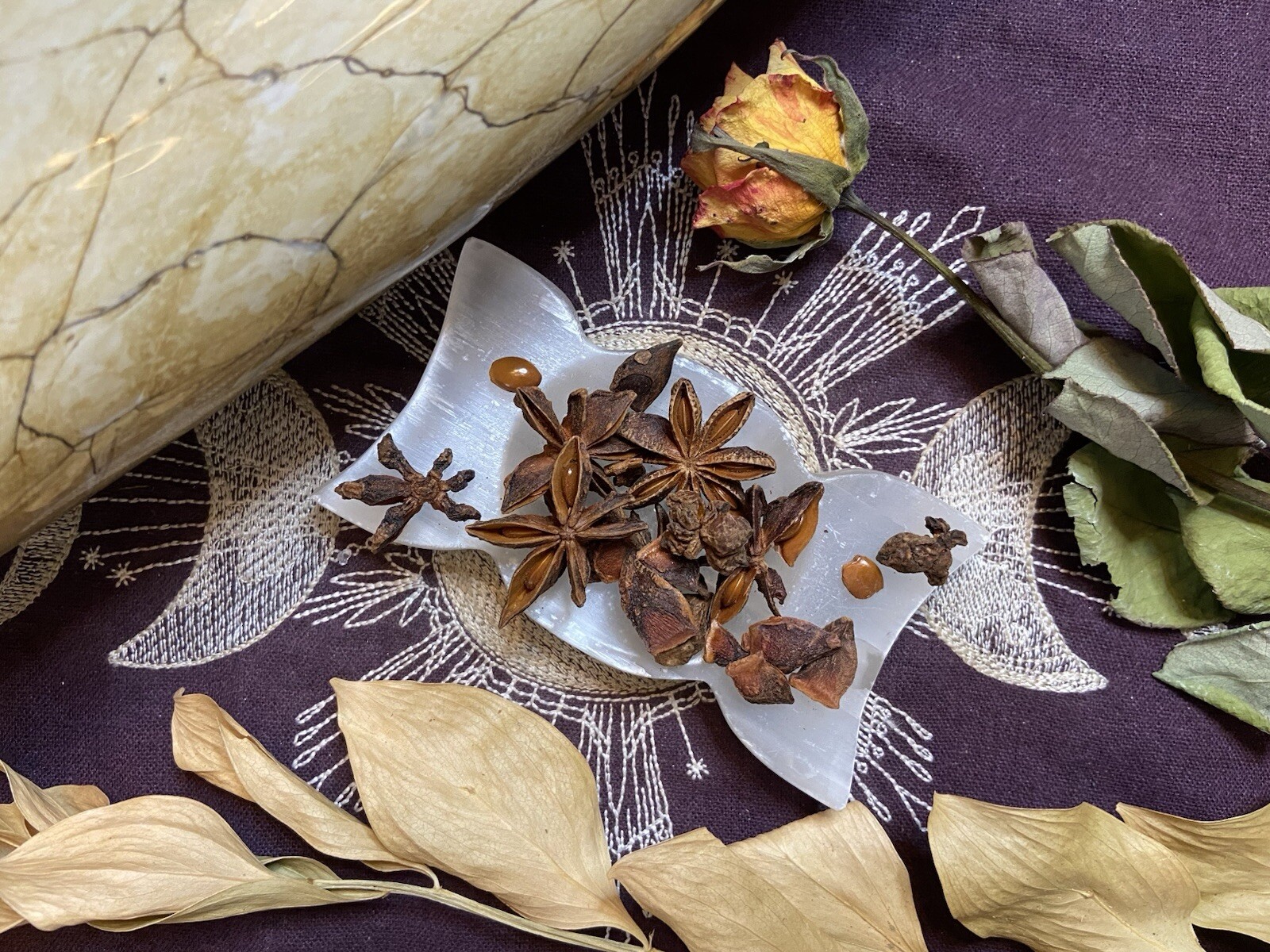 Star Anise Whole and Pieces, Psychic Powers, Luck, Ward Off Bad Dreams
