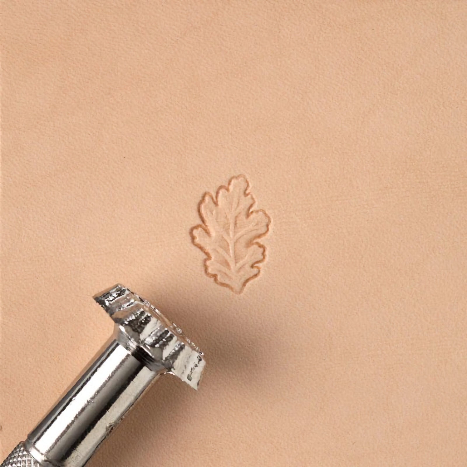 Right Oak Leaf Stamp L950 6950-00 by Tandy Leather