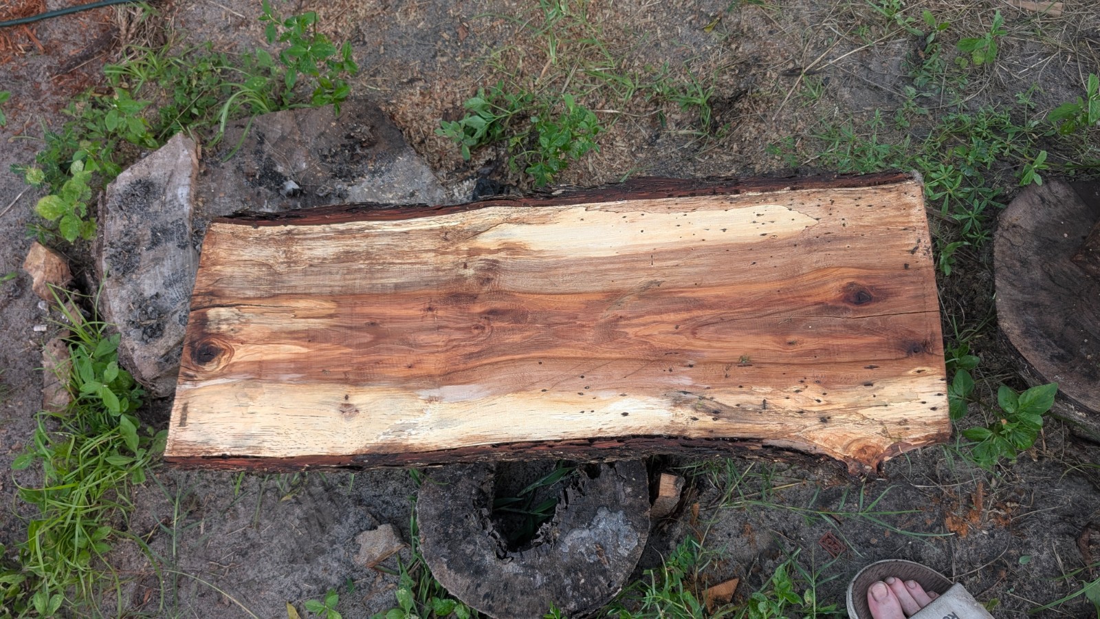 unfinished spalted pecan wood slab – approx. 31×10.25×1.75″ slb #32