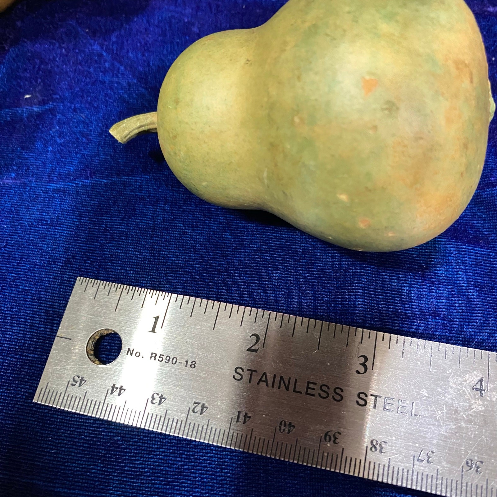 Lot of FIVE (5) Gourds Small Size Pear Shaped Round Dried Natural Color Clean