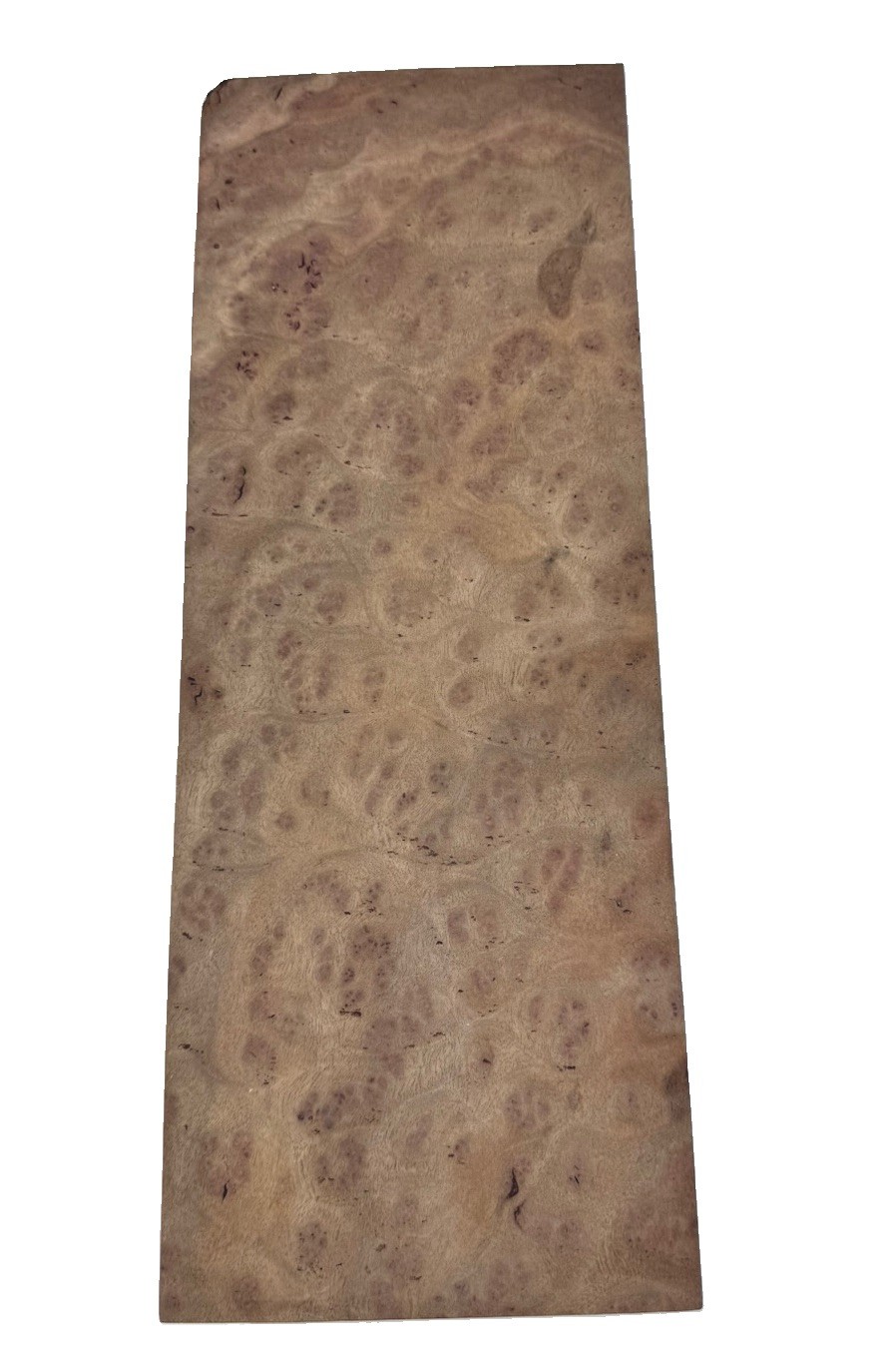 Camphor Burl wood insrument blank 20″ x 7-3/8” x 2″ (v20) dried billet