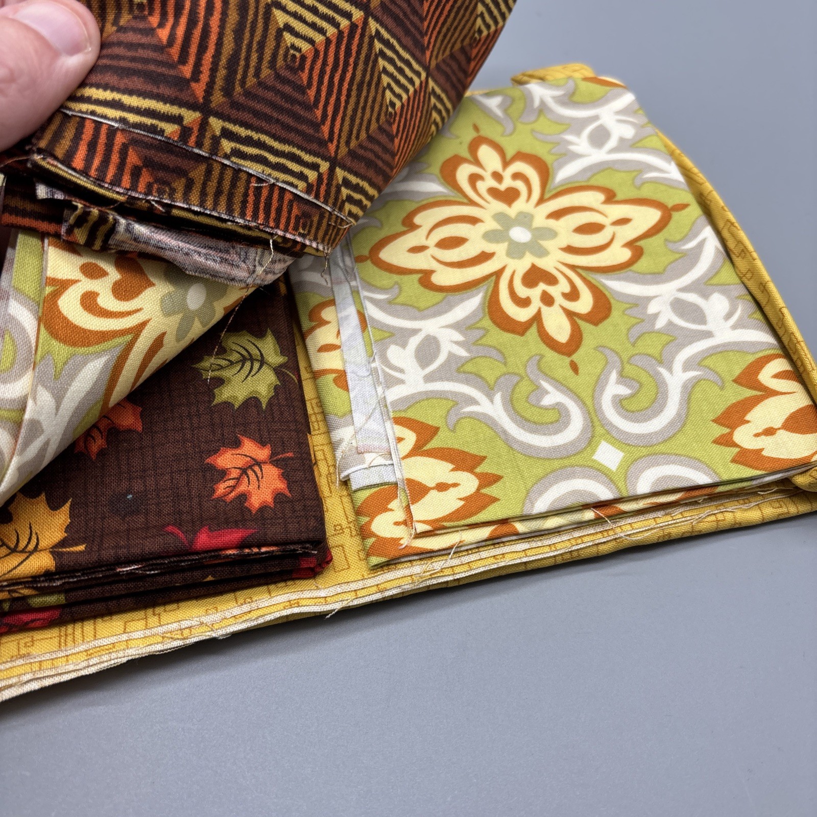 Villa Rosa Designs Quilt Kit mystery Pic Western Sky 41 1/2” X 57 1/2”