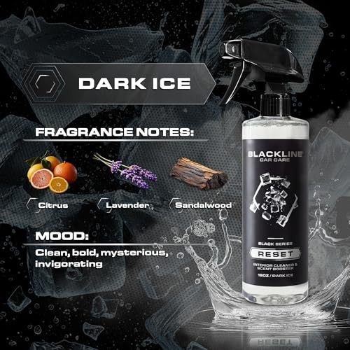 Luxury Scented Leather Interior Car Cleaner 16 Fl Oz (Pack of 1) Dark Ice