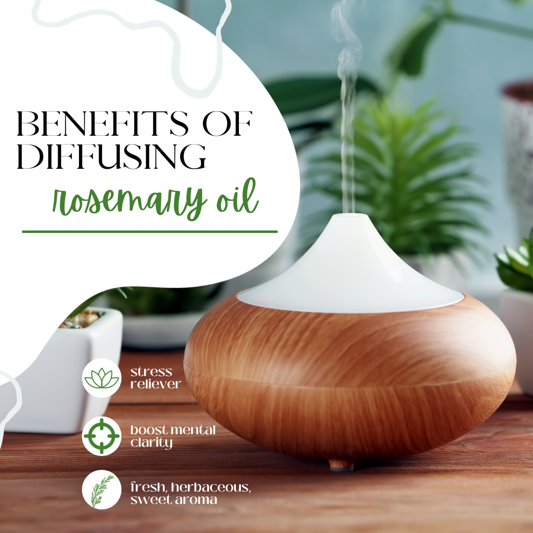 16 fl oz Rosemary Essential Oil (100% Pure & Natural) in Aluminum Bottle