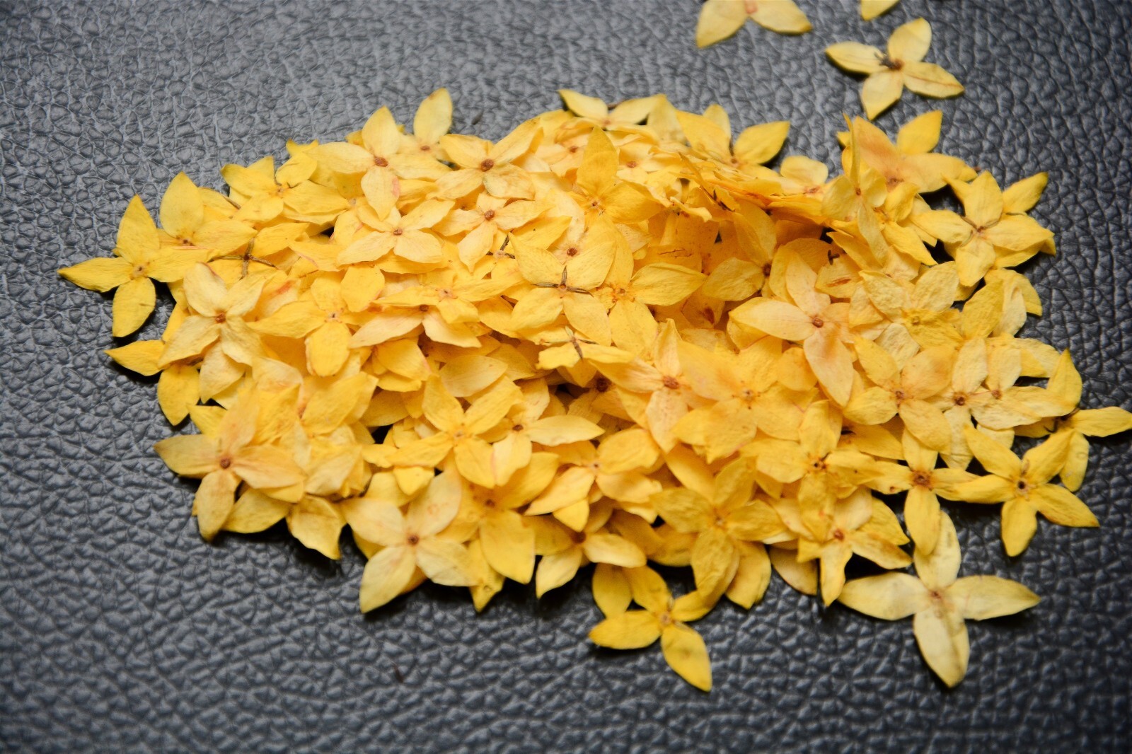 250 X Yellow Pressed Flowers 1.8CMX1.8CM Cute Size Small 4 Petals Floral Decors