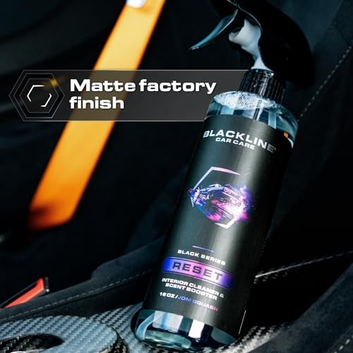 Luxury Scented Leather Interior Car Cleaner 16 Fl Oz (Pack of 1) Dark Ice