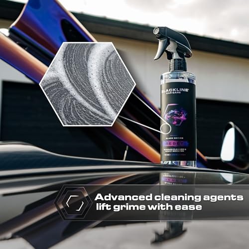 Luxury Scented Leather Interior Car Cleaner 16 Fl Oz (Pack of 1) Dark Ice