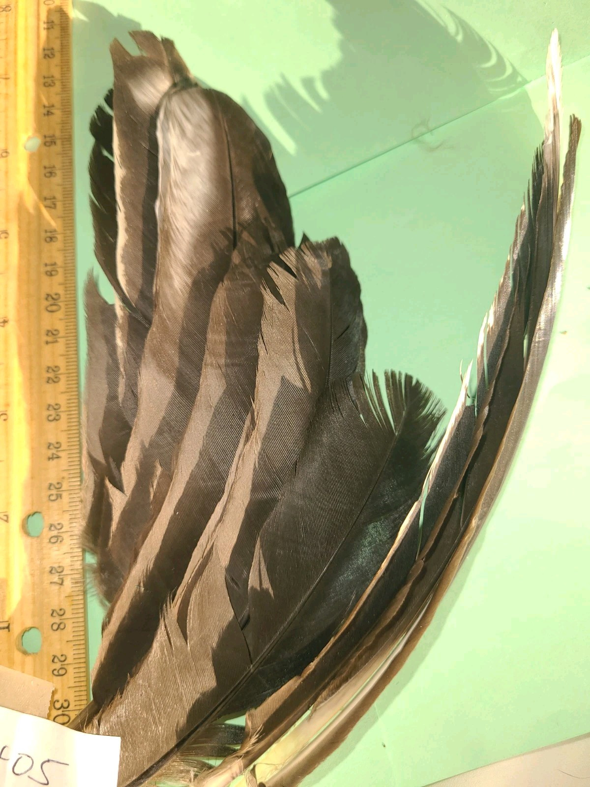 24 Chicken Feathers Wing Body Fly Tying crafts Hats cruelty-free A452