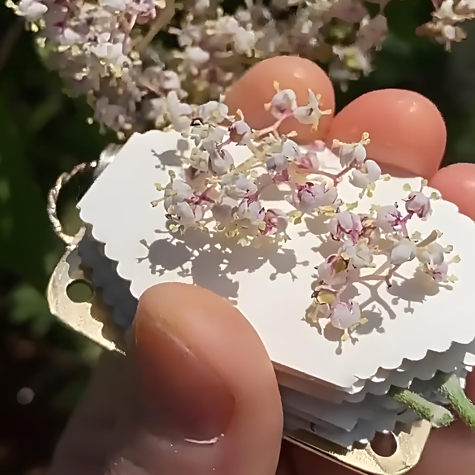 NIXNEHC Micro Mini Flower Press Kit, Miniature Flowers Pressing, Small Pocket…