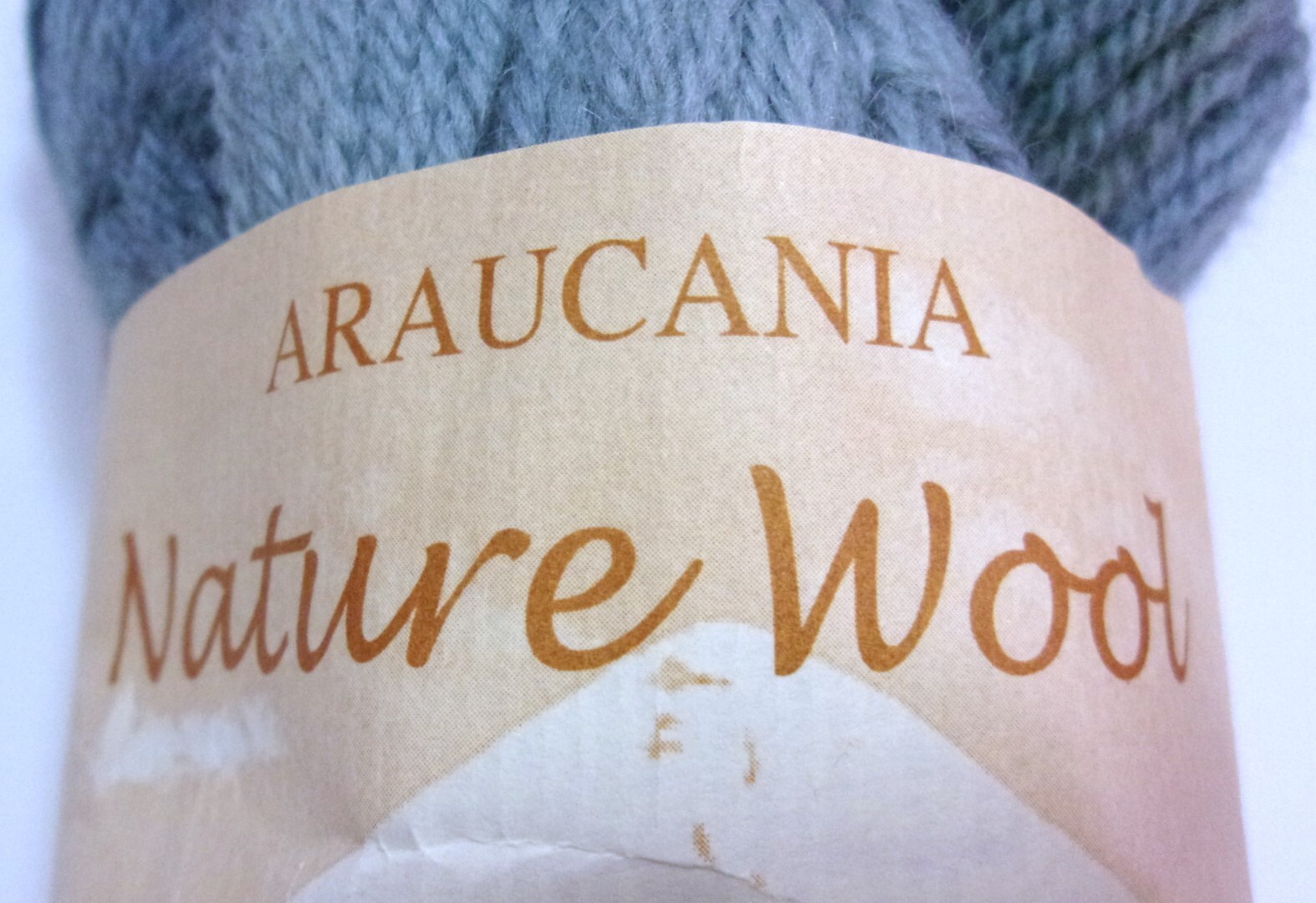 Araucania Nature Wool, 100% Wool, 100g (3.52 oz), Blue Variegated, No Dye Lot