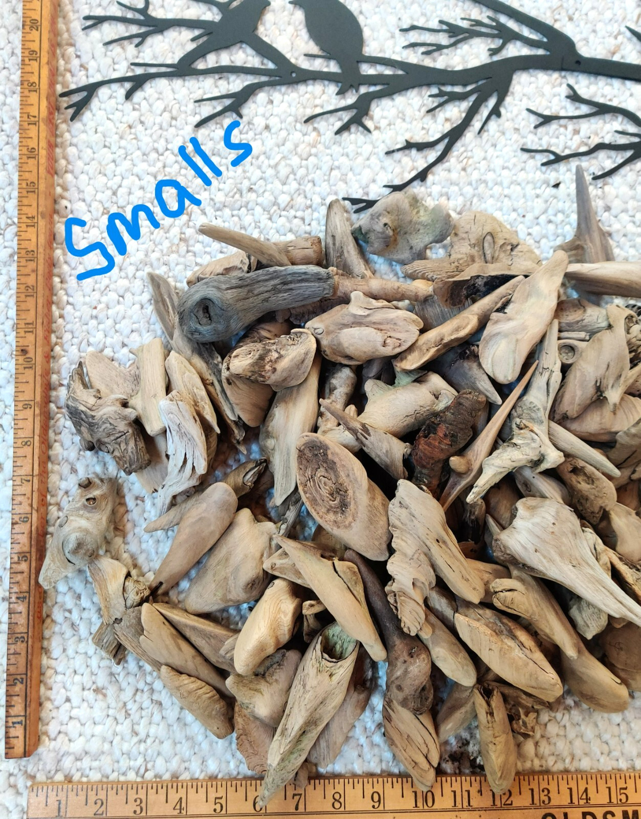 2 lbs. (14+ pcs.) of Beautiful, Unique, Natural Driftwood Gleaned from Lake MI