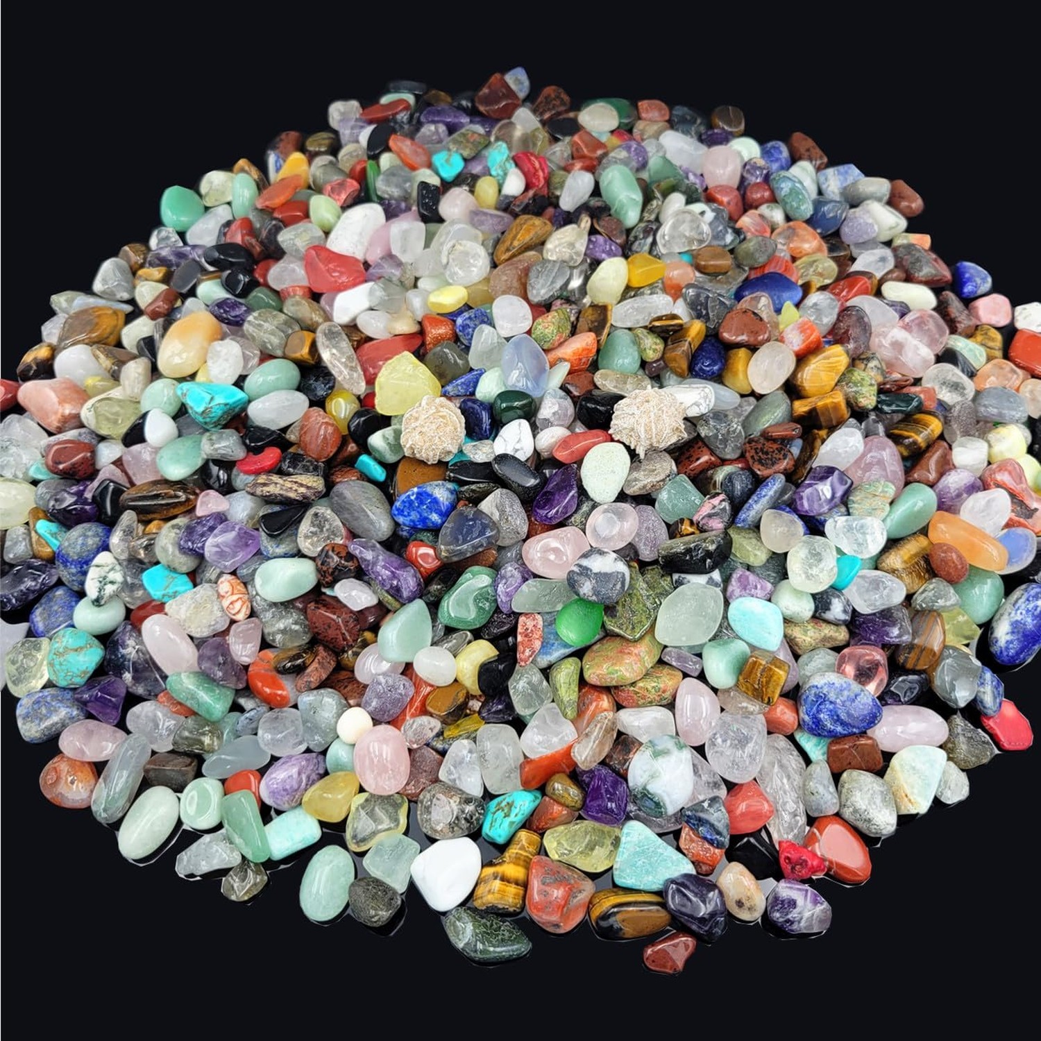 800Pcs+ (3lb) Gemstones and Crystals Set,30Kinds+ Bulk Rocks and Minerals Sci…