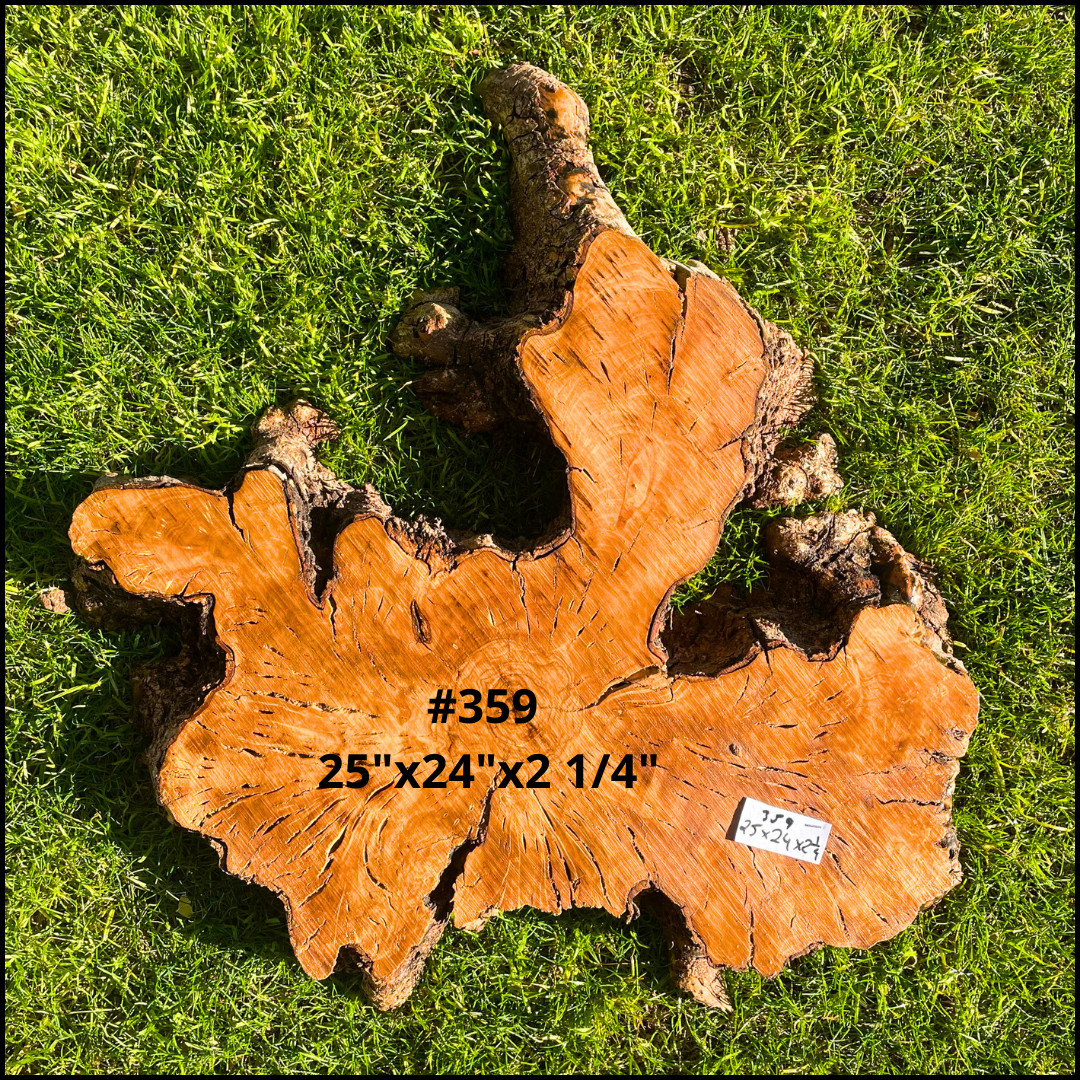 Olive Wood Live Edge Cookies for Resin, Crafting, Wood Art, Tables, Clocks