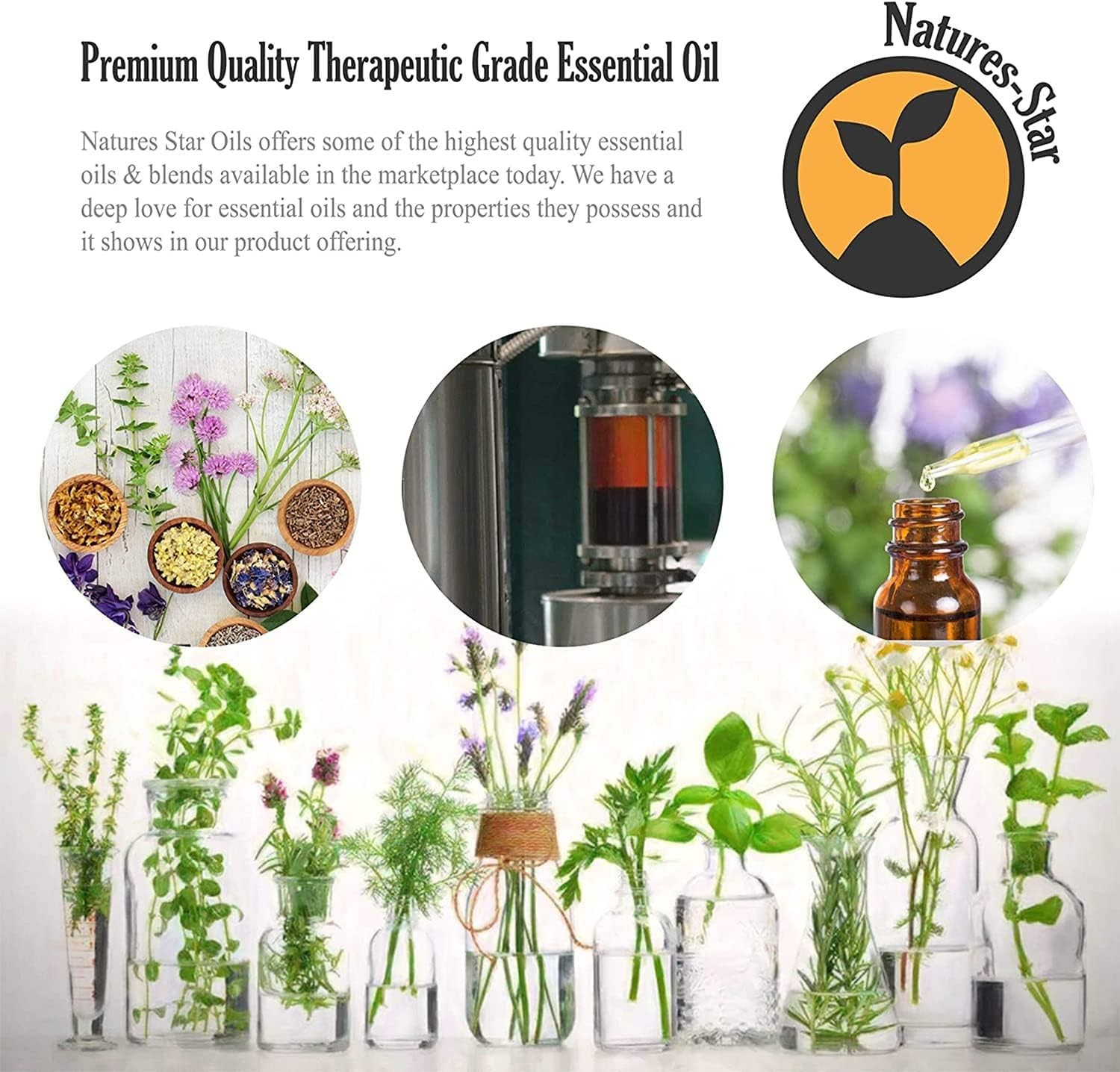Natures-Star 16oz Rosemary Essential Oil – Therapeutic 16 Fl Oz (Pack of 1)
