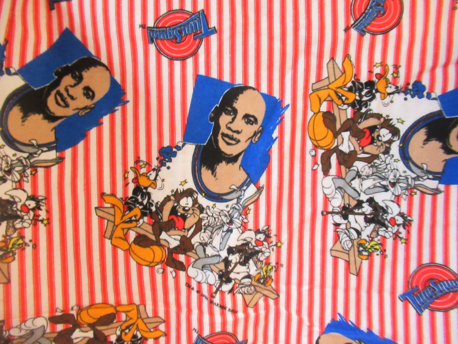 VTG 1996 SPACE JAM Warner Bros FLANNEL FABRICSLooney Tunes Jordan SBTY X45